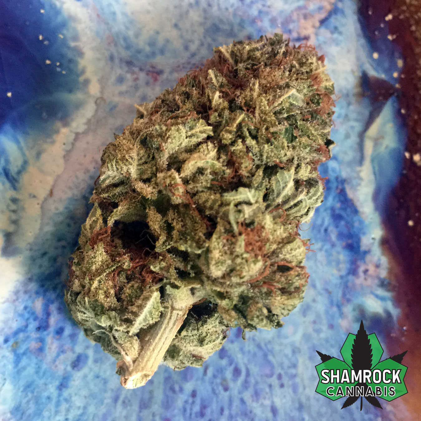 Blueberry Kush By Eden Farms (100% Indica) (AA) - Shamrock Canna